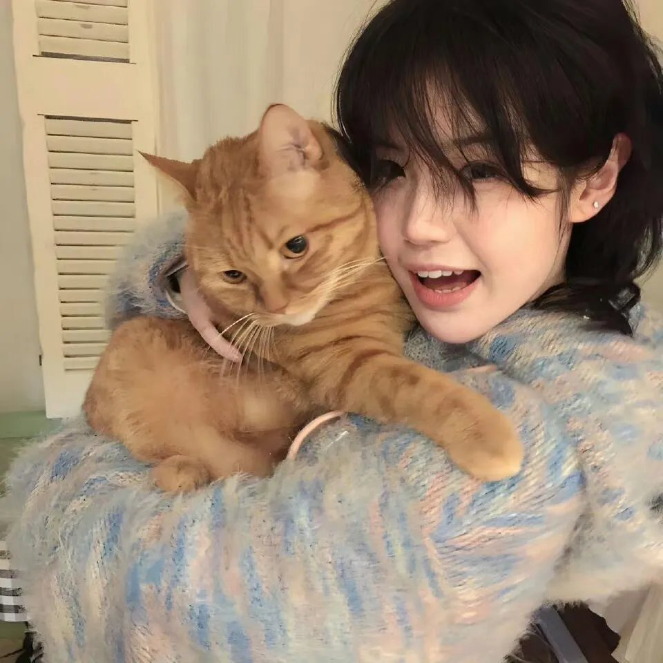 北美小鹿猎人传奇
