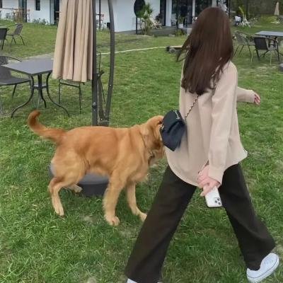 走路的风度